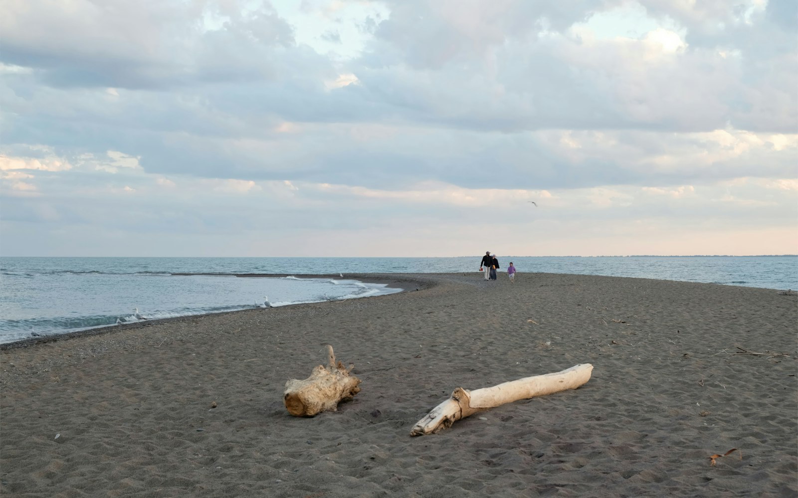 Two people walking along a quiet sandy beach with driftwood on the lakeshore