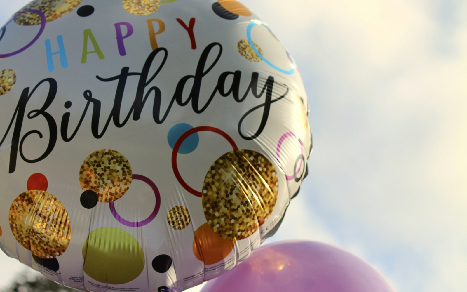 Where can you host a big birthday party in Windsor-Essex?